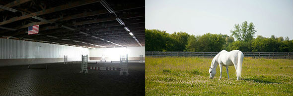 Chicago area horse training and great amenities