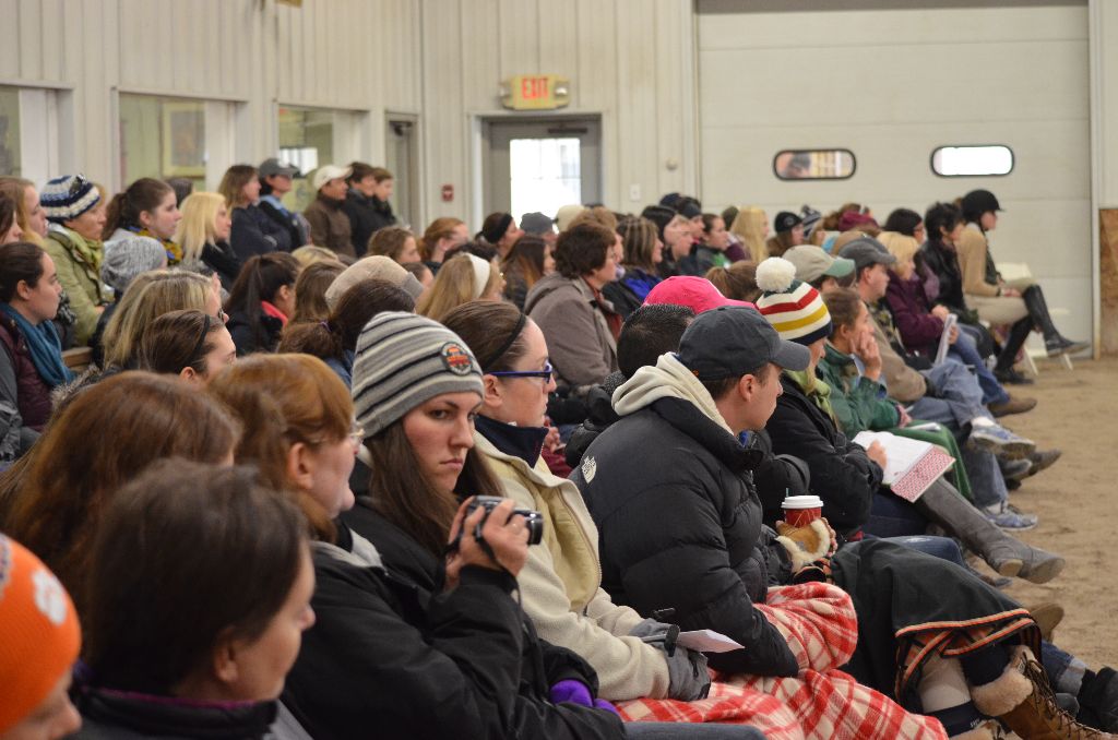 Auditors filled the seats for Saturday's sessions. Photo courtesy of Chicago Equestrian