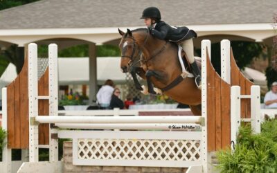 Congrats to Hillcrest Songbird on qualifying for USEF Pony Finals!
